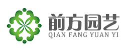 開封前方園藝菊花種植基地