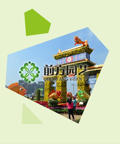 開封前方園藝菊花種植基地[公司介紹]